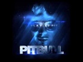 Pitbull Feat. Red Foo Vein & David Rush - Took My Love  + Lyrics