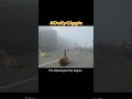 #EmptySpace #IntoTheVoid #DailyGiggle #alpaca #llama #apocalypse #doomsday #lol #memes #jokes #puns