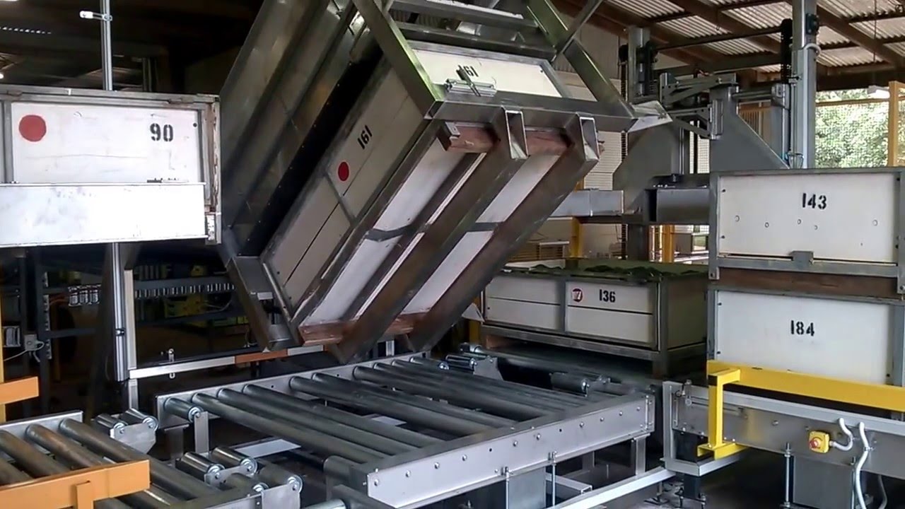 KW AUTOMATION - FRUIT BIN AUTO FEED LINE