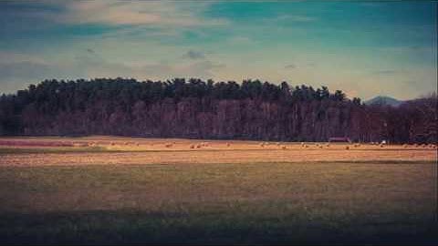 تلاوة عذبة وصوت جميل رقق قلبك بالاستماع لها عبدالرحمن الدلالي