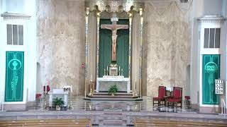 Our Lady of Sorrows Daily Mass, July 9, 2026, 7:00 AM Mass