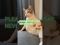 PLEASE BEAR IT #music #meme #viral #trending #fpy #relatable #cat #funny #funniestvideo #funnymoment