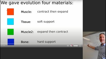 2025 Evolutionary robotics course. Lecture 28. Soft robotics.