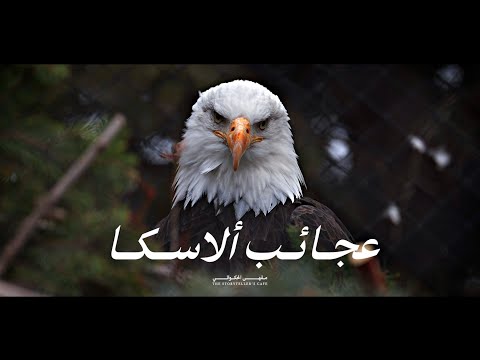 ألاسكا أرض الدببة العملاقة والنسور الذهبية أسرار وعجائب القص ة كاملة وثائقي