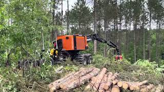 TimberPro TF830 Combi 2023