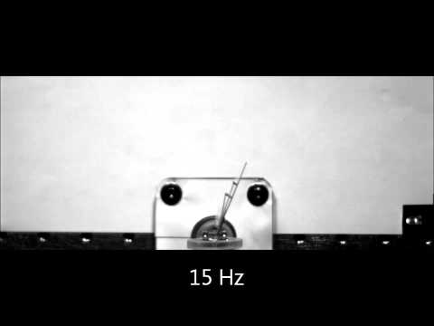 Frequency response of an electromagnetic flapper mimicking insect wings