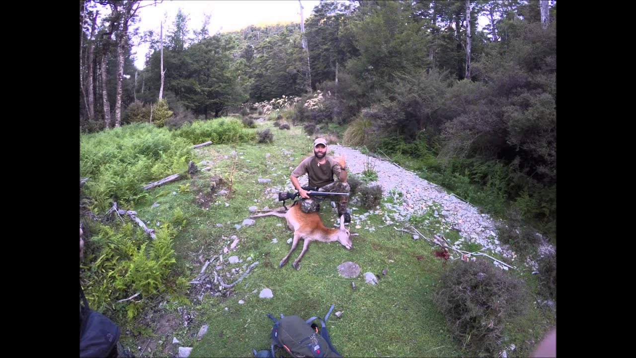NZ Hunting YouTube