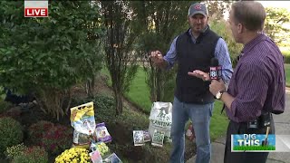 Tips for planting Spring flower bulbs