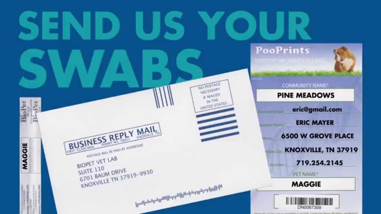 How To PooPrints Swab YouTube