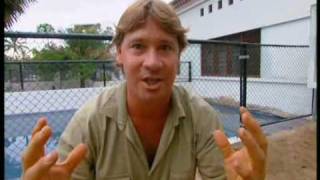 Crocodiles Of The Revolution Part 5