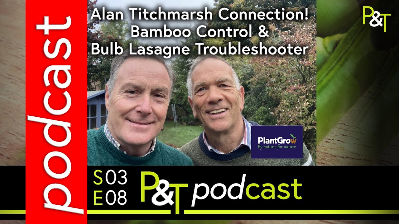 Связь с Аланом Титчмаршем! Управление бамбуком и устранение неполадок в лазанье с луковицами