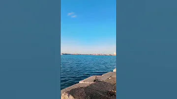 صباح ابيض وقشطه Follow اكسبلور Youtube ترند Like 