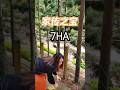 传家之宝7Ha