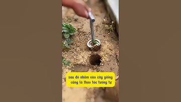 Ồ Ồ! Dụng Cụ Trồng Cây Con Cầm Tay Bằng Thép Không Rỉ.