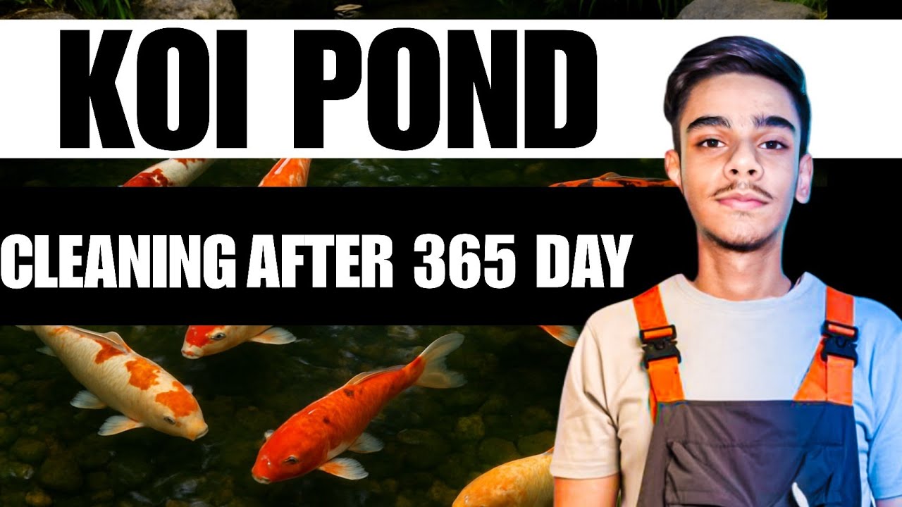 Cleaning My Koi Pond Filter After 365 Days | Filter Cleaning | Japanese Koi | Koi Pond 