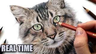 How to draw CAT EYES in colored pencil | REAL TIME TUTORIAL screenshot 5