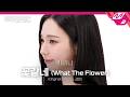 [LIVE] aespa 카리나 - 꽃같네 (What The Flower) (원곡: 선미) | 우쥬레코드 에스파 카리나 편