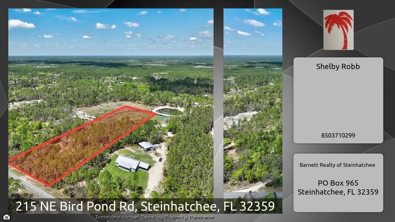 215 NE Bird Pond Rd, Steinhatchee, FL 32359