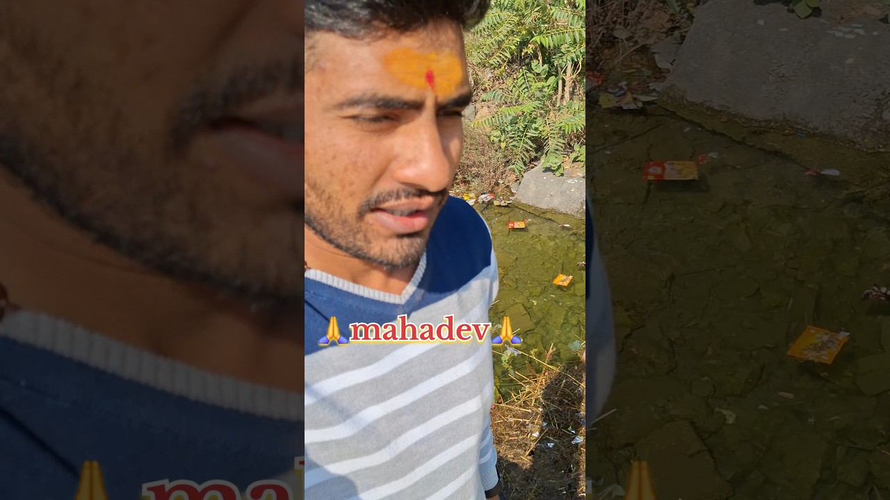 માણસ એજ જાડ ઉપર પથ્થર મારે જેમાં ફળ વધુ હોય ????#shortsfeed #vairalshort #trendingshorts #trending ???????? 