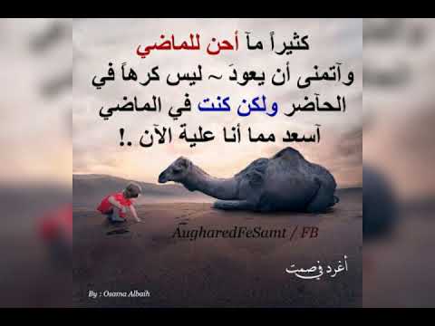 سيبونا فى حالنا حكيم