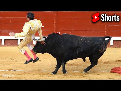 Vídeo: O que significa corrida de touros?