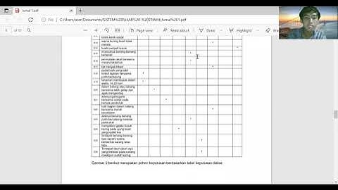 PRESENTASI INDIVIDU - SISTEM PAKAR