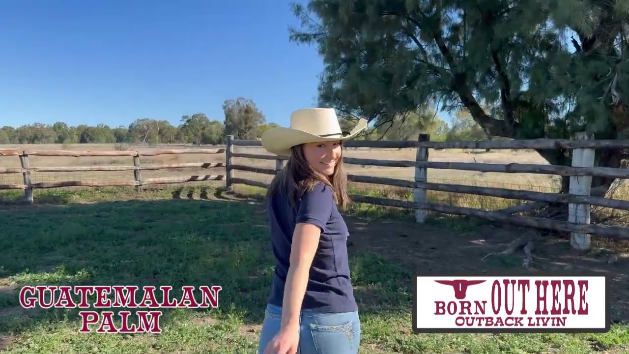 Tyson Golder's Toowoomba Roma Longreach | Guatemala Palm Leaf Hat Tv