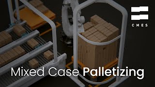 [Application] Mixed case palletizing / 물류자동화 물류로봇