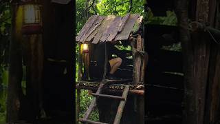 Build a house on an old tree using wood | a shelter | Giàng Vẩu