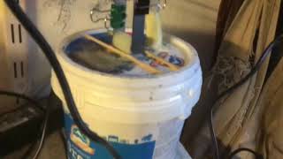 Sodium Chlorate cell хлорат натрия клетки