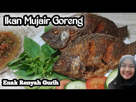 Ikan Mujair Goreng yang Enak Renyah dan Gurihnya sampai ke daging terdalam || gak bau amis