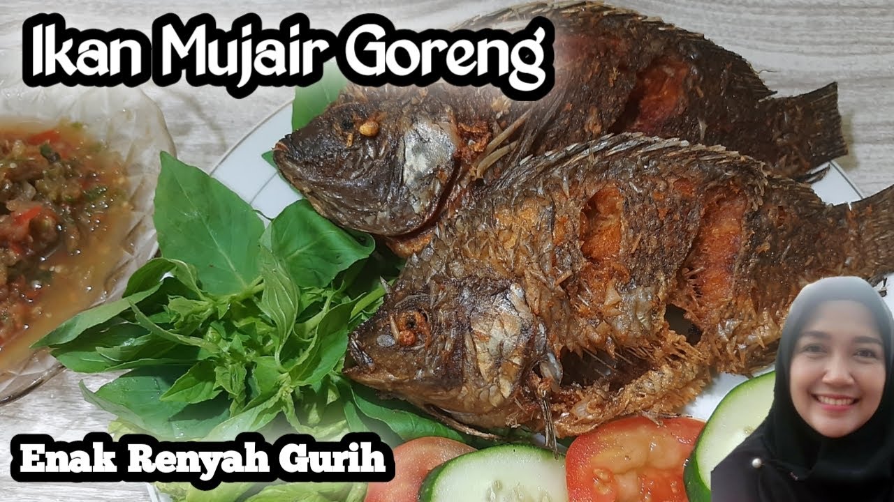 Ikan Mujair Goreng yang Enak Renyah dan Gurihnya sampai ke daging terdalam || gak bau amis Ikan Mujair Goreng yang Enak Renyah dan Gurihnya sampai ke daging terdalam || gak bau amis