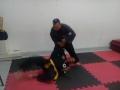 Defensa basica kenpo ching tao