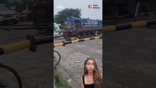 Distracted cow struck down by a speeding train before standing back up and walking away