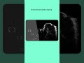CSS Shiny Animation #shorts