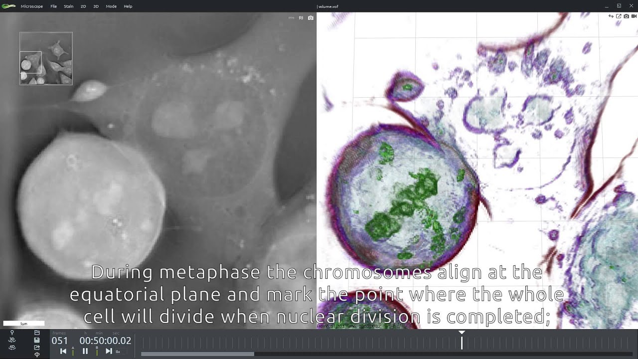 細胞観察用ホログラフィック・蛍光顕微鏡 3D Cell Explorer-fluo 