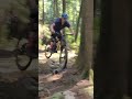 Phil Throttle aka Sophie's trail