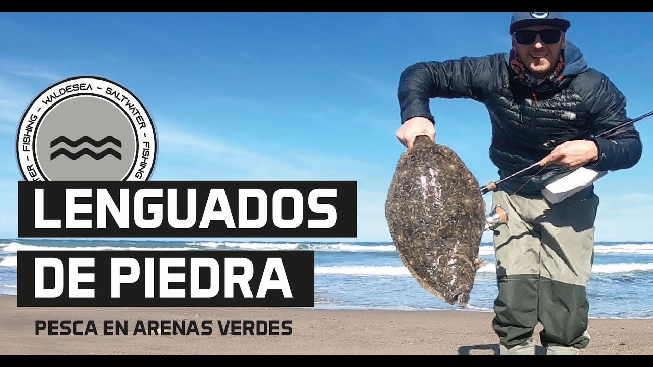 LENGUADOS en las Piedras. pesca fishing surfcasting Arenas Verdes