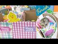 Hamster Easter Egg Hunt Adventure - Hamster Maze