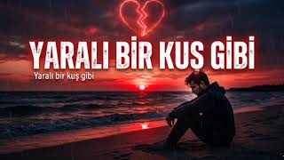 Yarali Bi̇r Kuş Gi̇bi̇ 💔 Sensizliğin Acısı İçimde Duygusal Aşk Şarkısı 2026