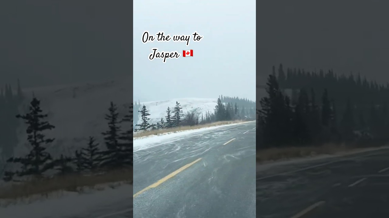 Jasper in November ❤️ 