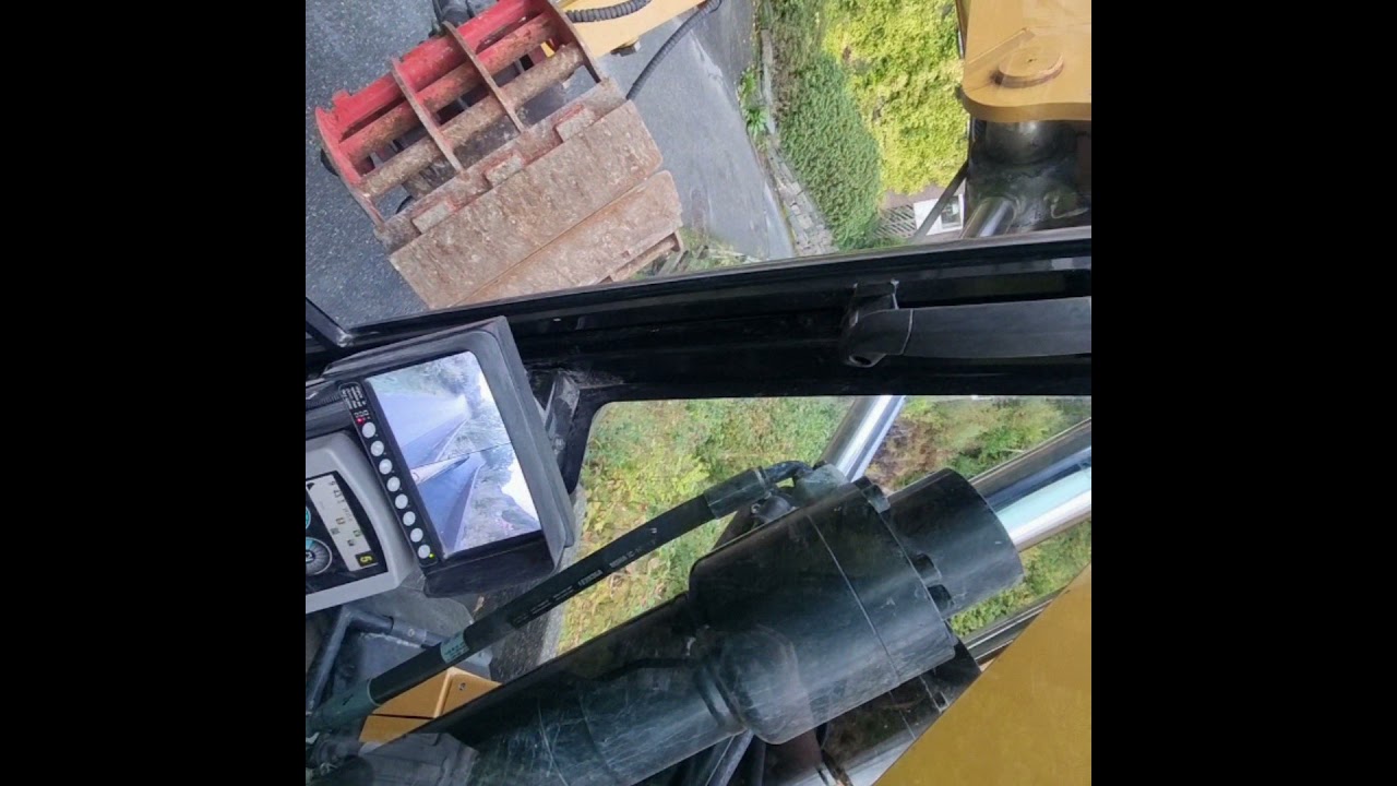 Cutting a tree 30/09/2021 :)