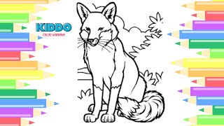 Unlocking the Secrets of Arctic Fox Color - You Won't Believe What Happens Next!