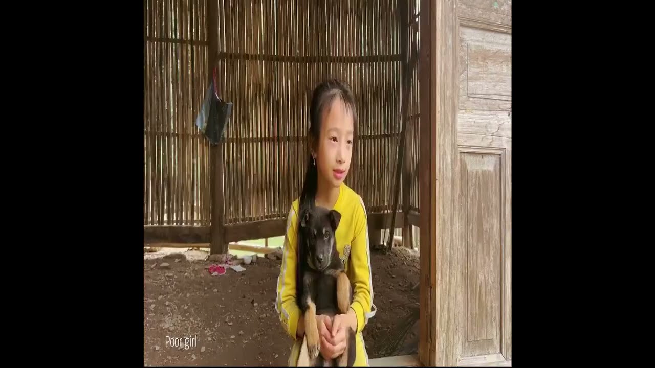 Give the poor girl a pair of pigeons 1milian views 🥰