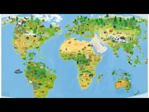 小遠足《翻轉‧動物大地圖：一邊學一邊玩的折疊地圖書中書》
