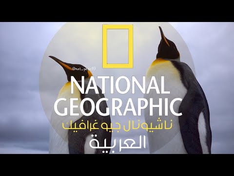 الجزر البرية جزر الفوكلاند