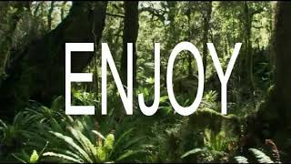 Kgf Dheera Dheera Song The Dino King Version