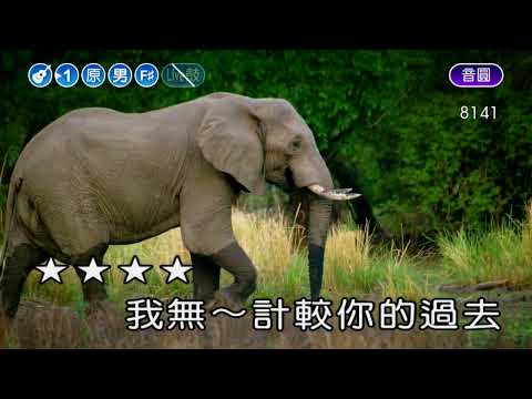鴛鴦一場~蔡小虎~男原F井調~伴奏~導唱(甲)