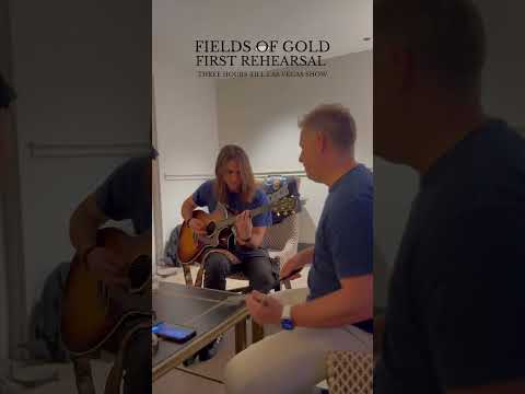 Fields of Gold (with Phil Kramer on Fiddle) - Las Vegas Planet Hollywood - Stephen Kramer Glickman