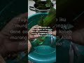 Tugas manusia. #statuswhatsapp #storywa #fypシ゚viral #tugasmanusiausahadoa